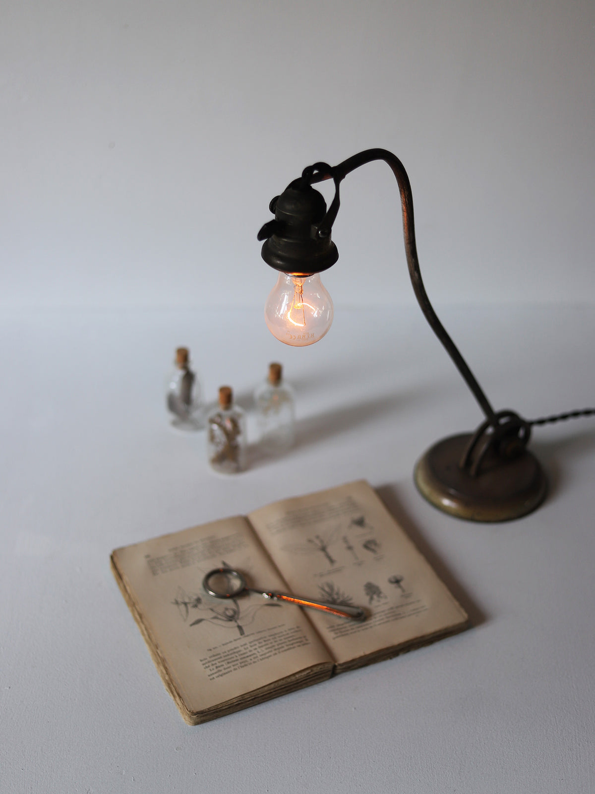 SWAN NECK LAMP