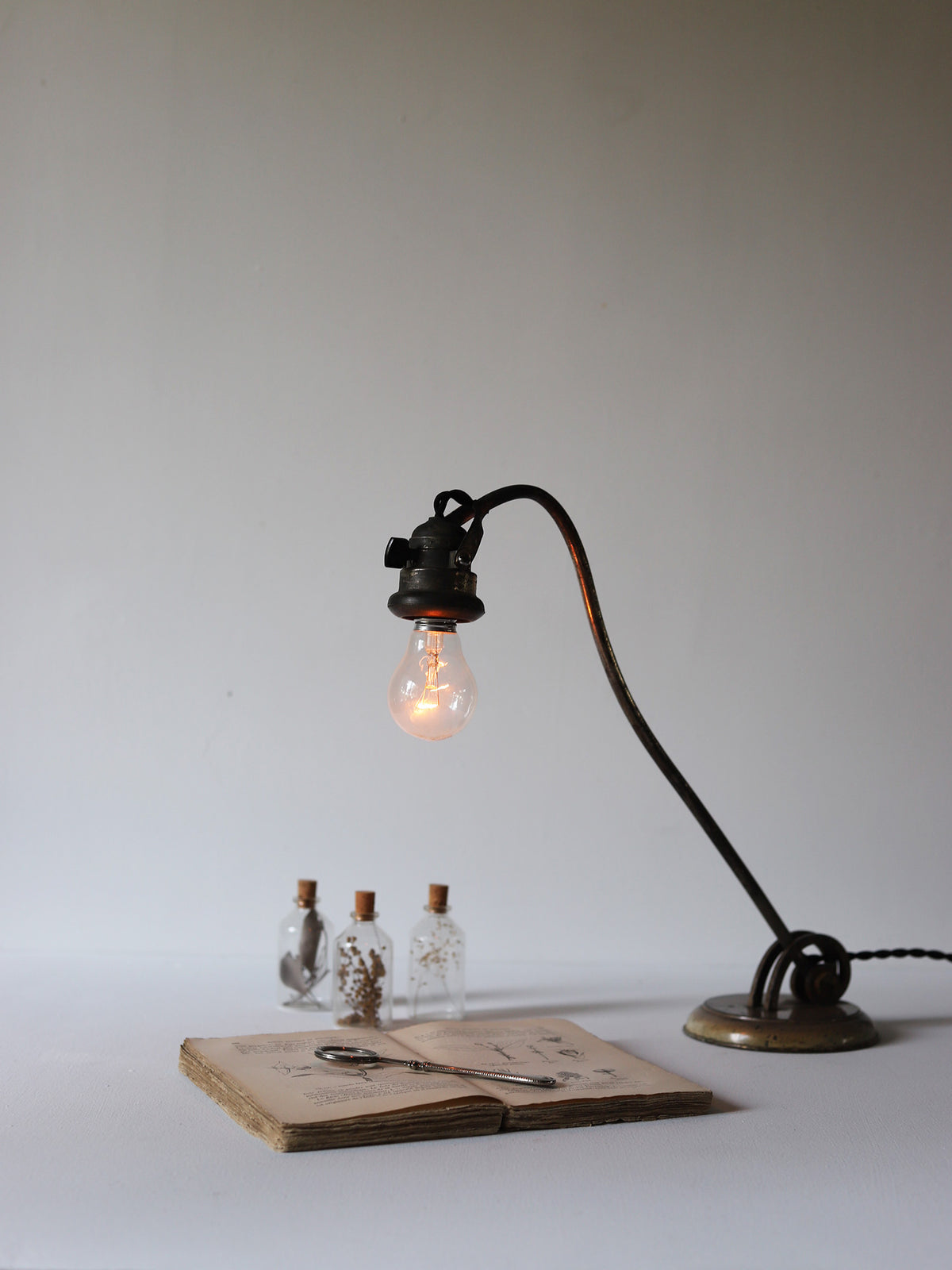 SWAN NECK LAMP