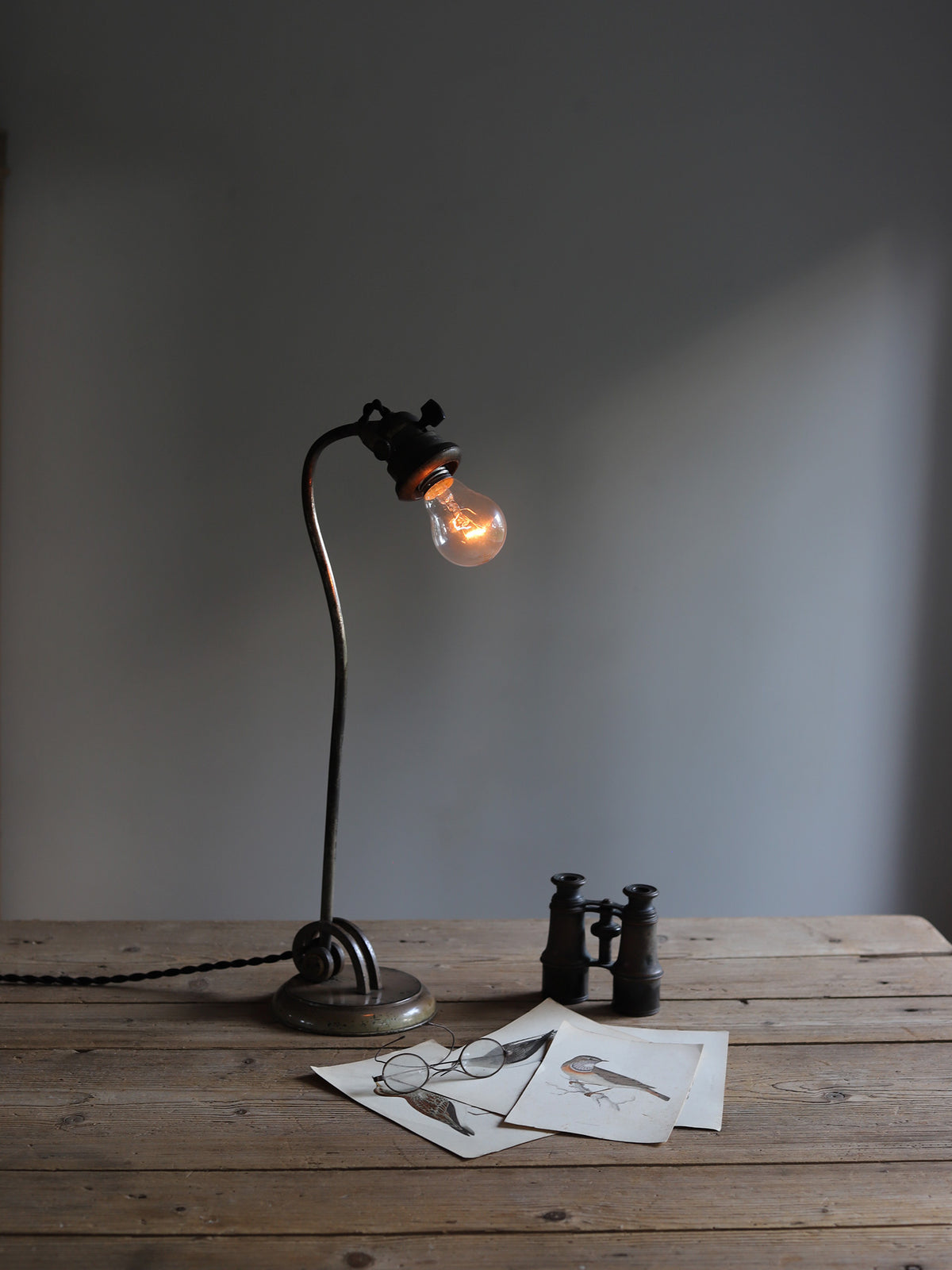 SWAN NECK LAMP