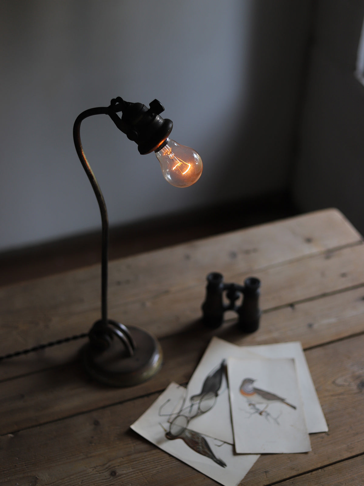 SWAN NECK LAMP