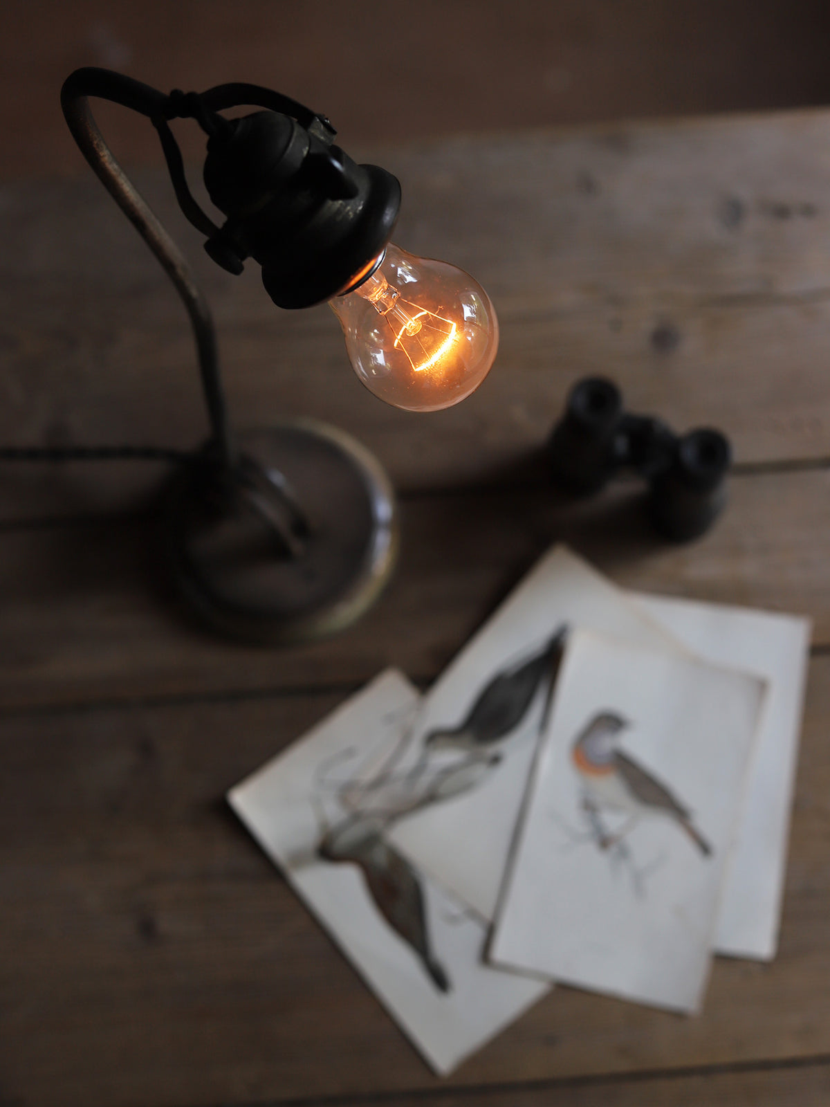 SWAN NECK LAMP