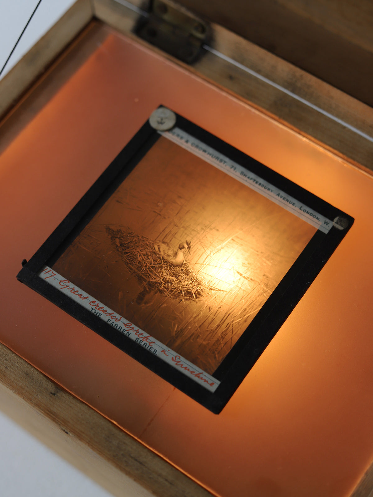 LIGHT BOX & GLASS FILM
