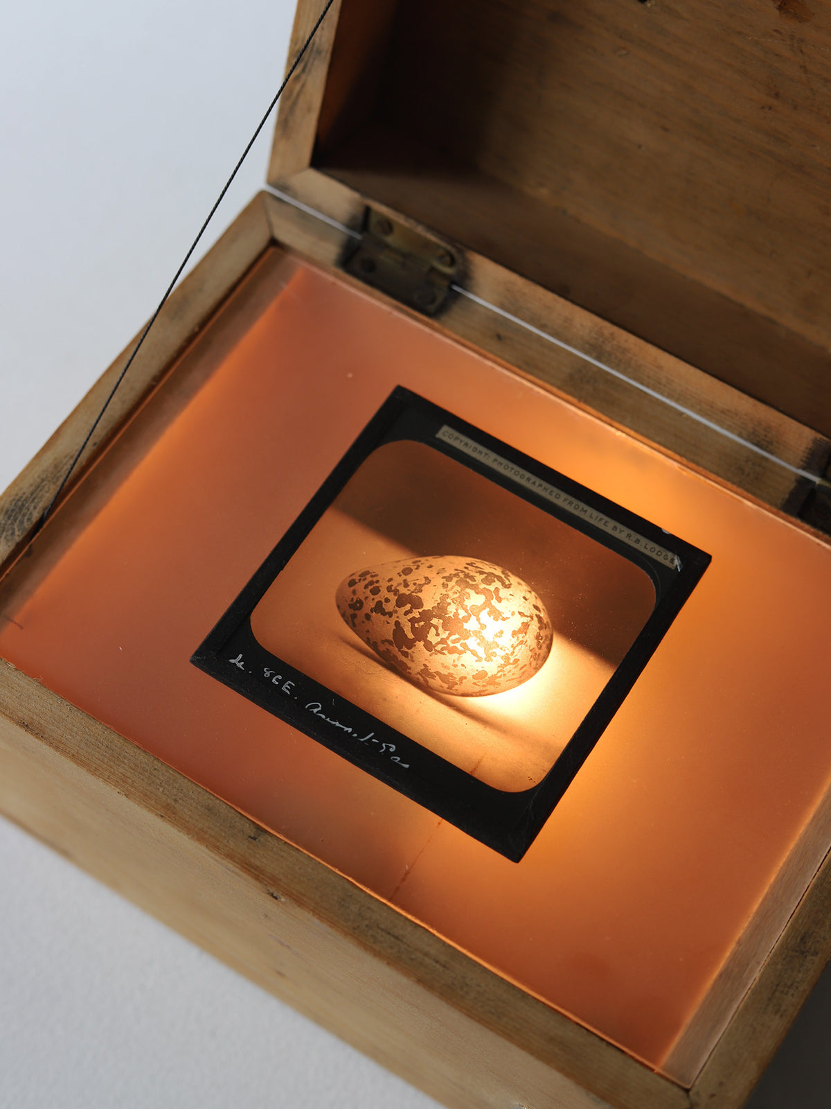 LIGHT BOX & GLASS FILM