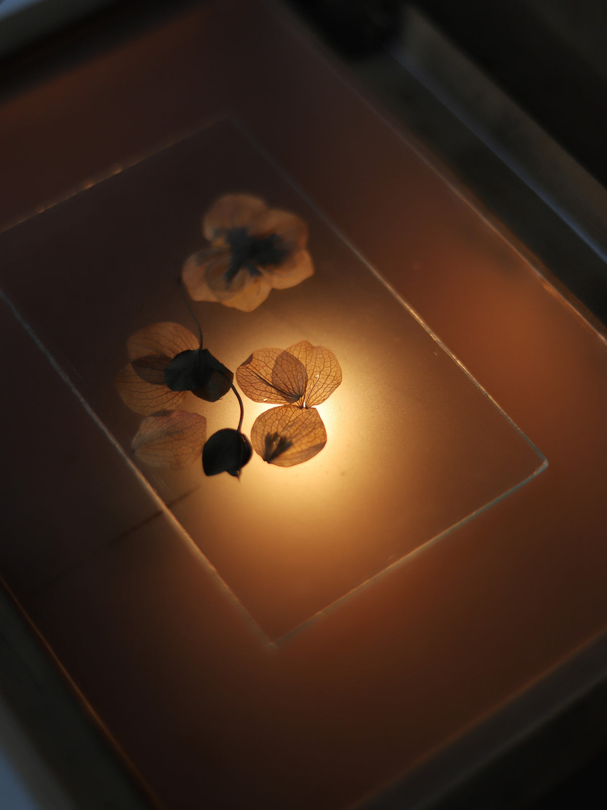 LIGHT BOX & GLASS FILM