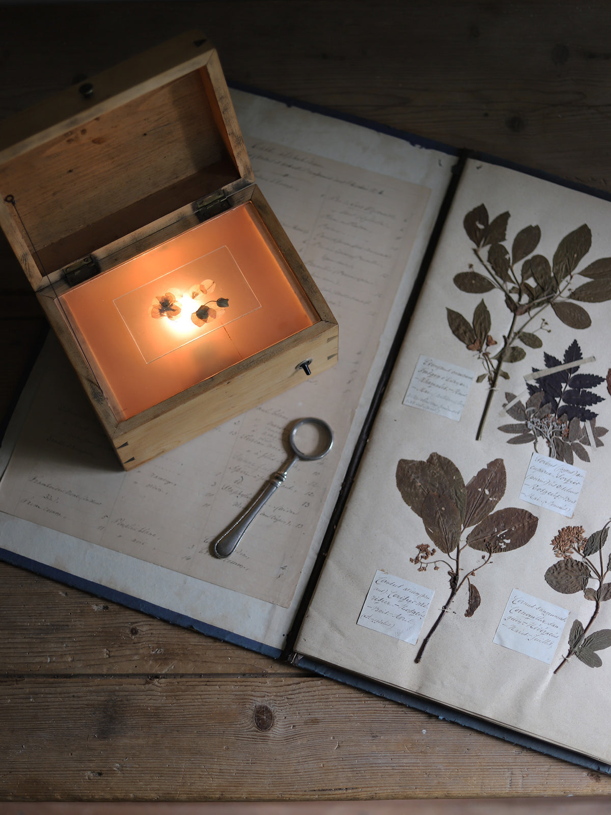 LIGHT BOX & GLASS FILM