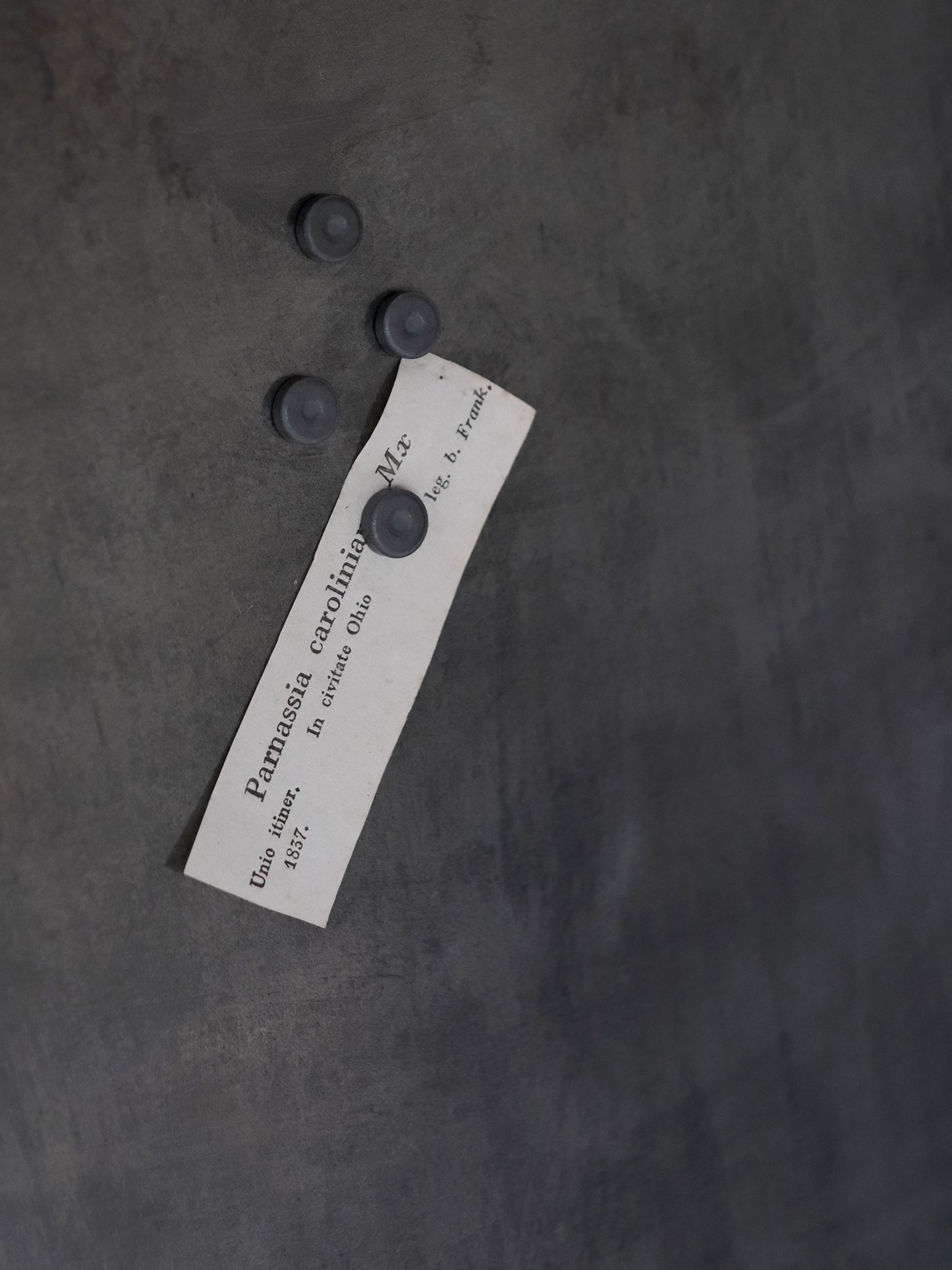 SIGNBOARD LAMP