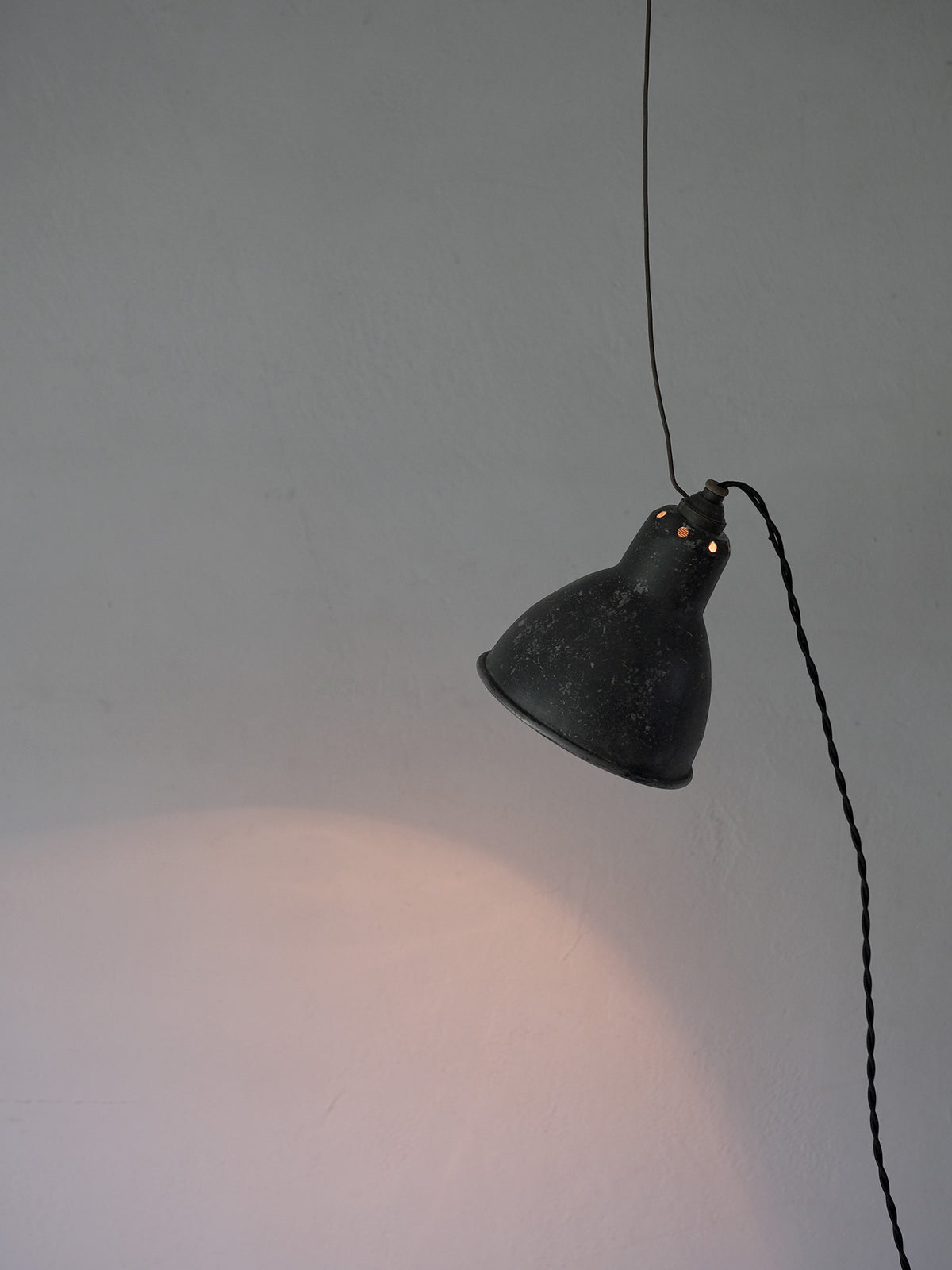 GRAS LAMP