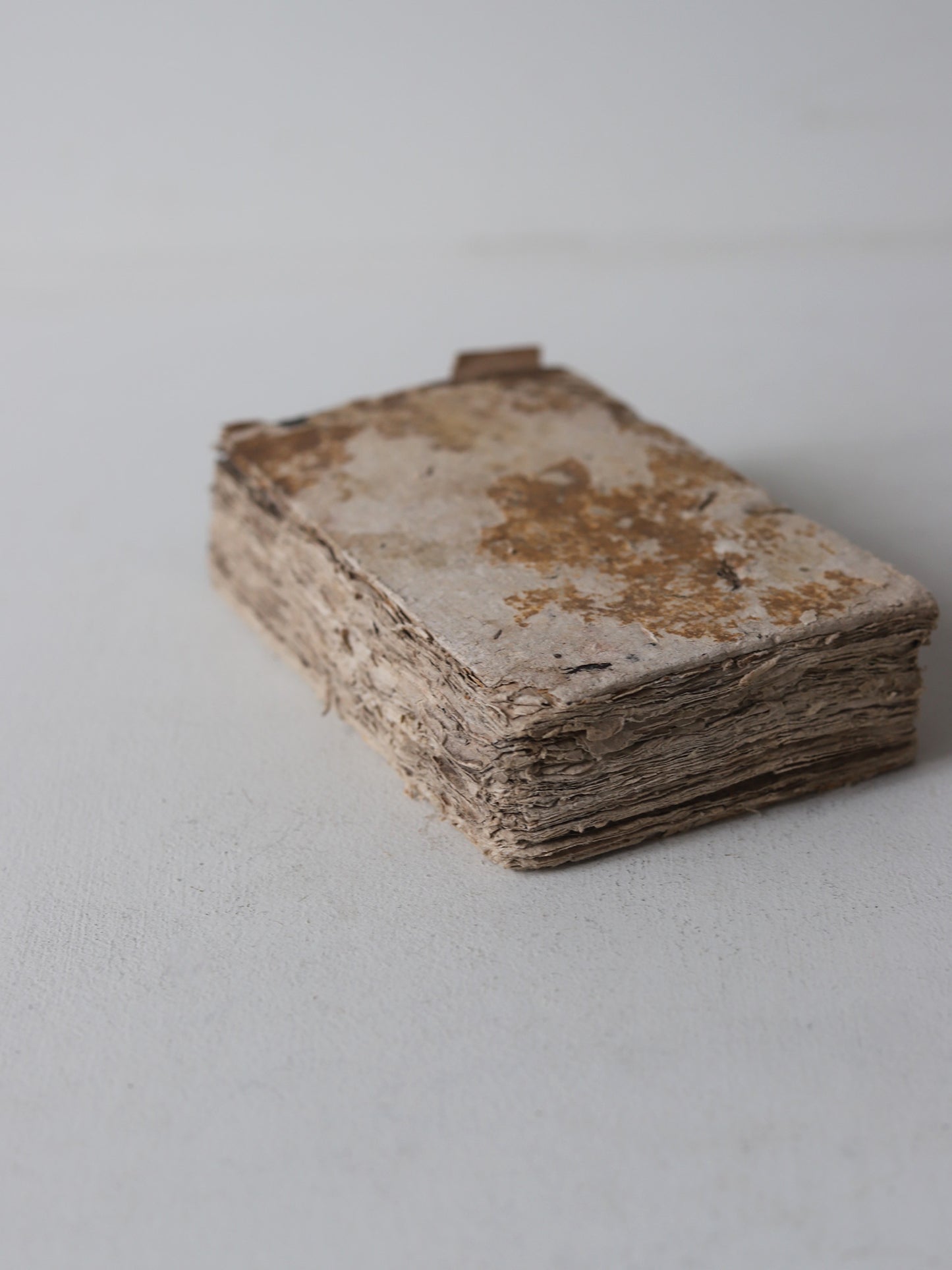 HISTOIRE NATURELLE DES OISEAUX