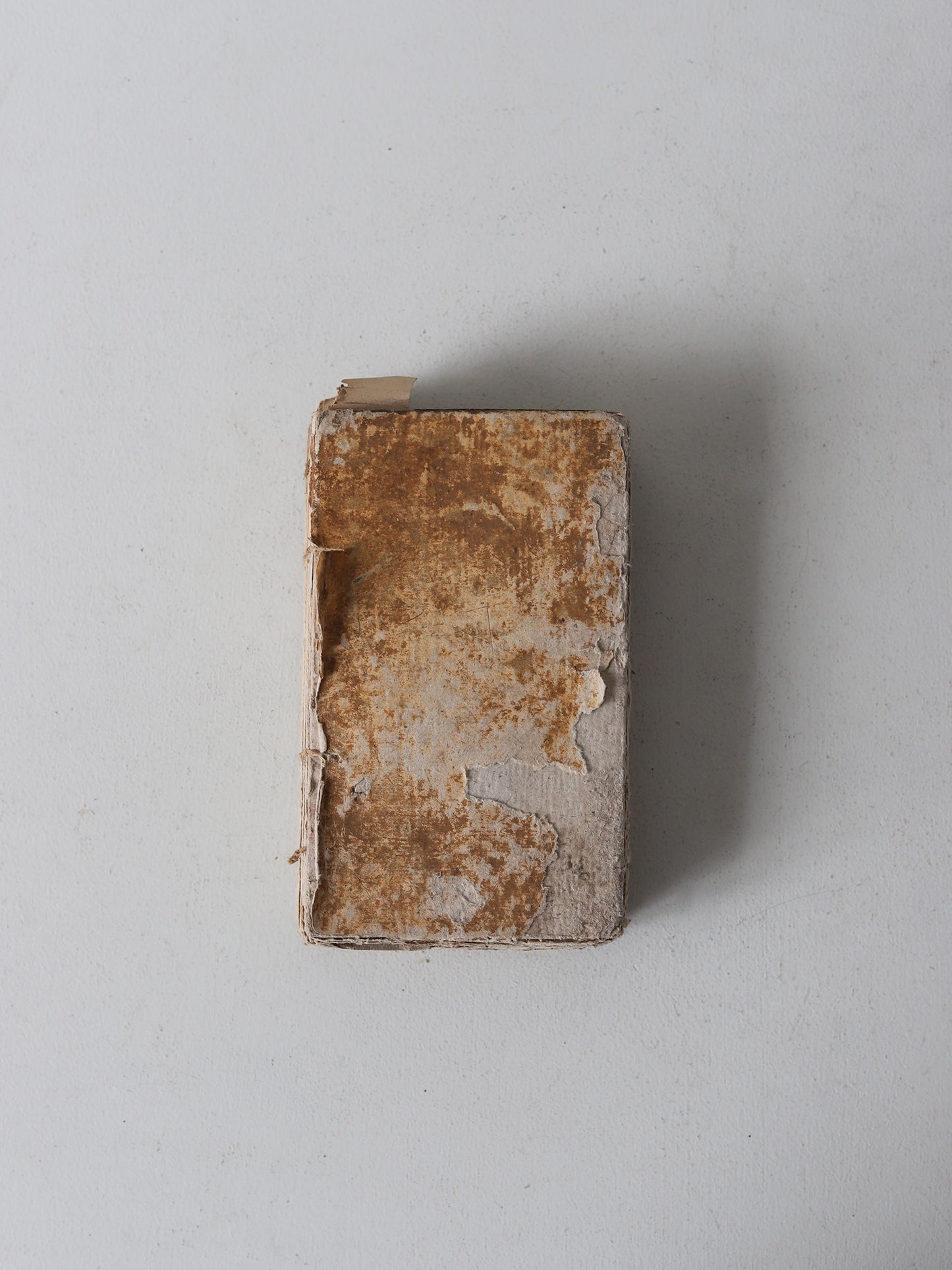 HISTOIRE NATURELLE DES OISEAUX