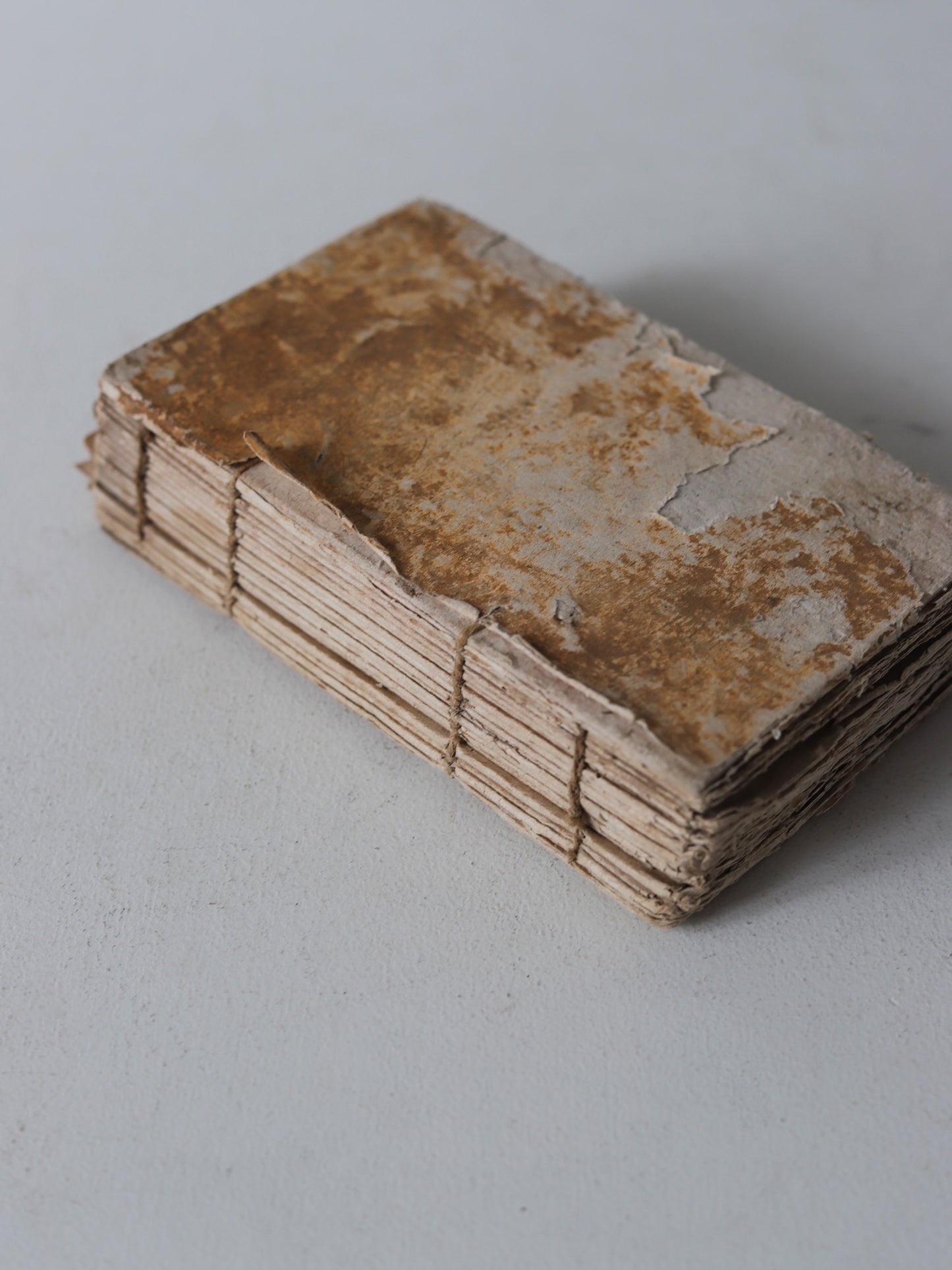 HISTOIRE NATURELLE DES OISEAUX