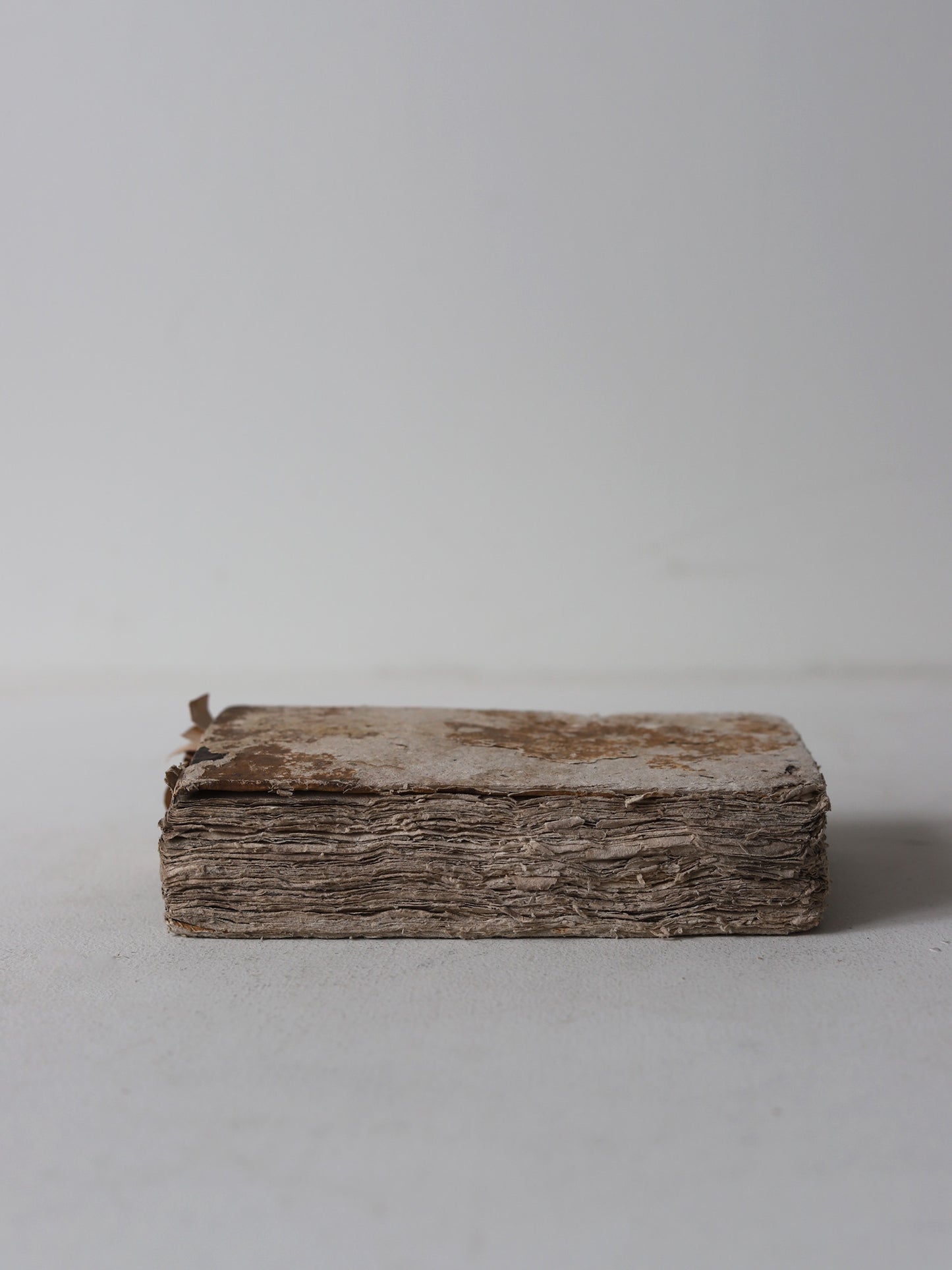 HISTOIRE NATURELLE DES OISEAUX