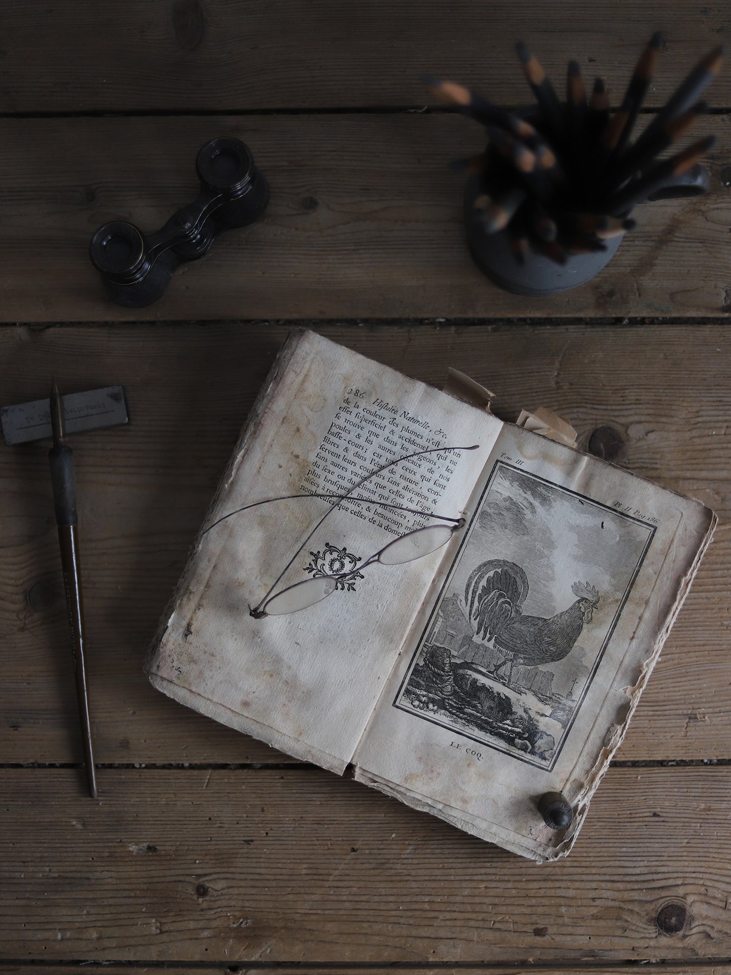 HISTOIRE NATURELLE DES OISEAUX