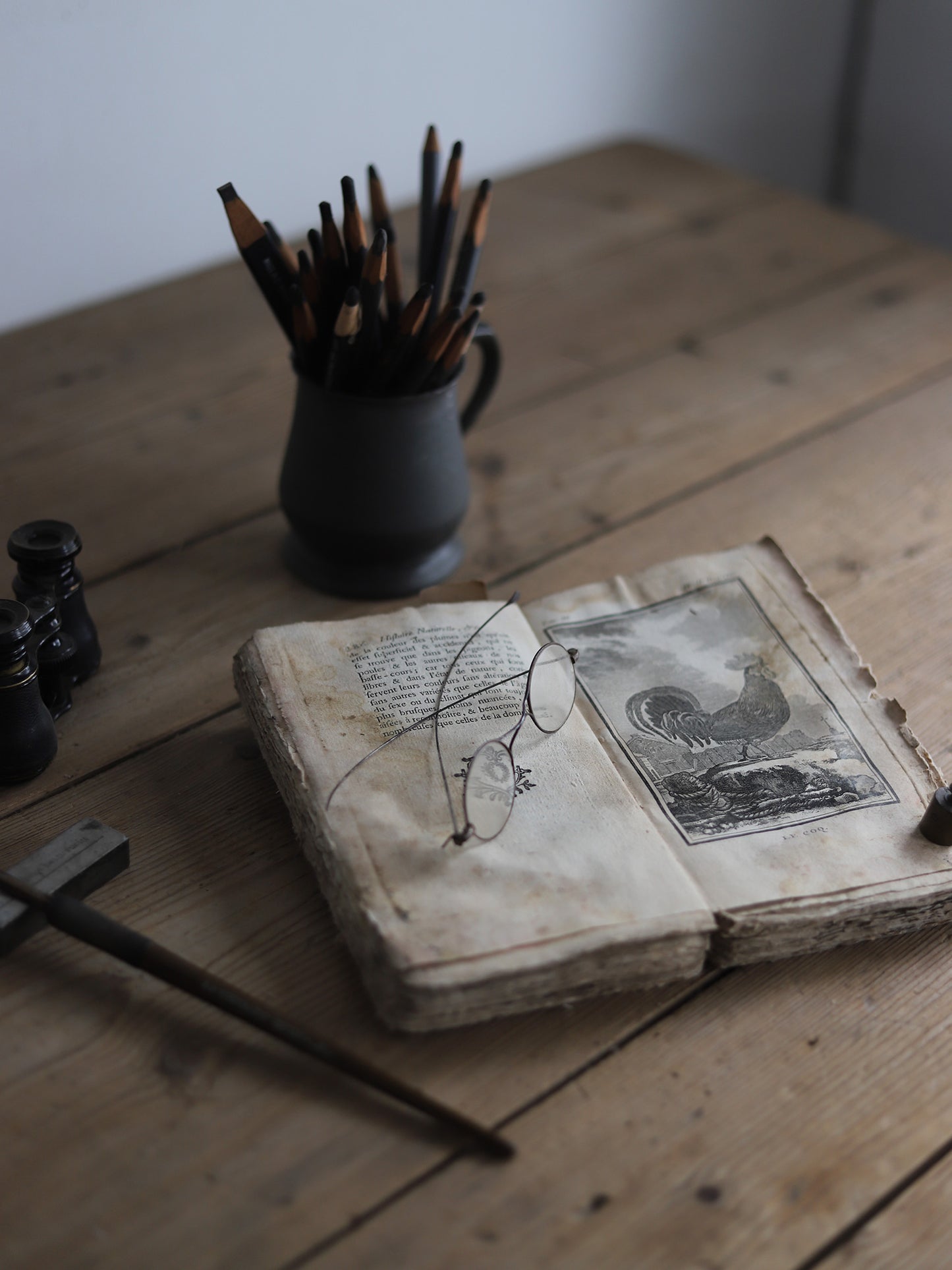 HISTOIRE NATURELLE DES OISEAUX