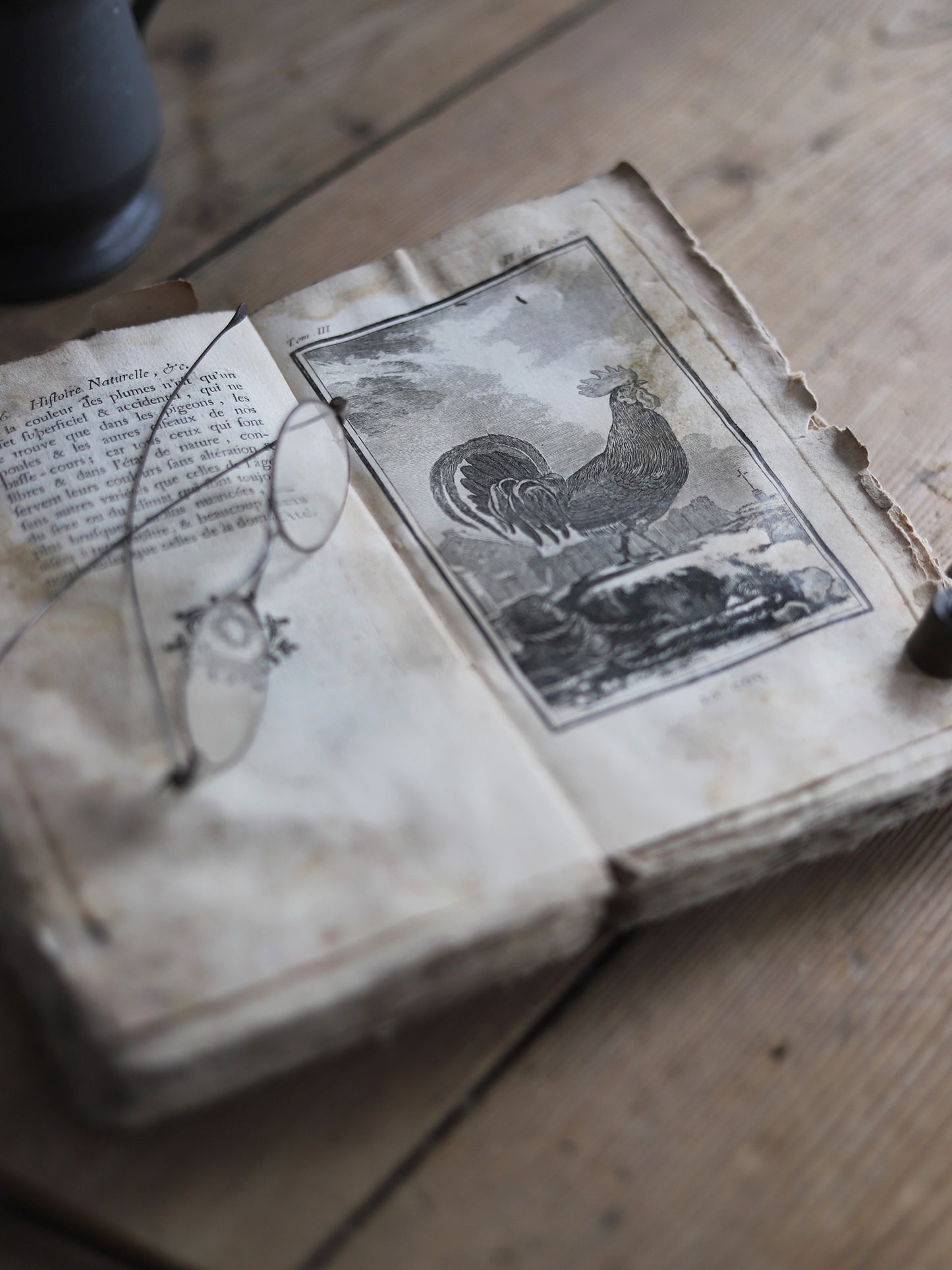 HISTOIRE NATURELLE DES OISEAUX