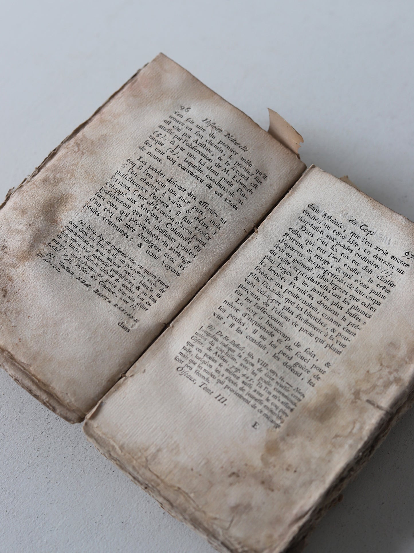 HISTOIRE NATURELLE DES OISEAUX