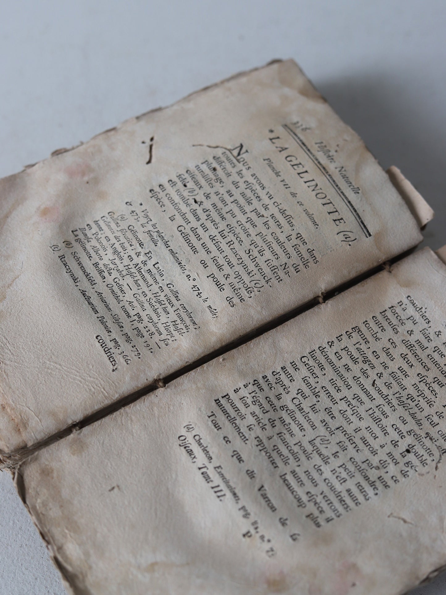 HISTOIRE NATURELLE DES OISEAUX