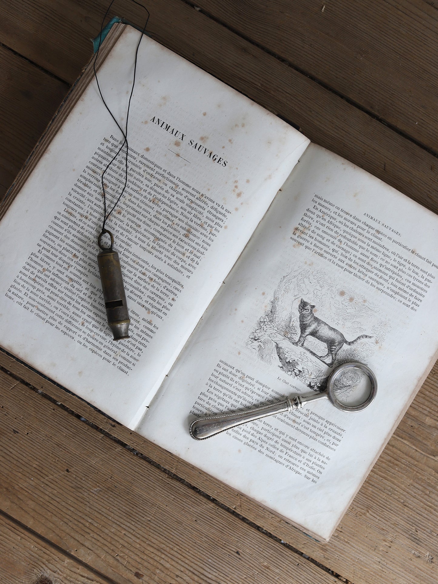 WHISTLE