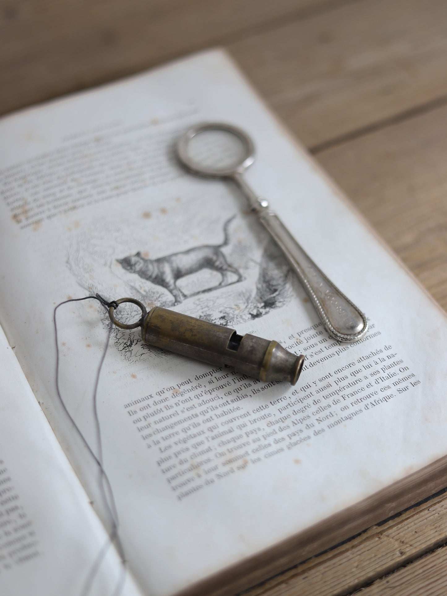 WHISTLE