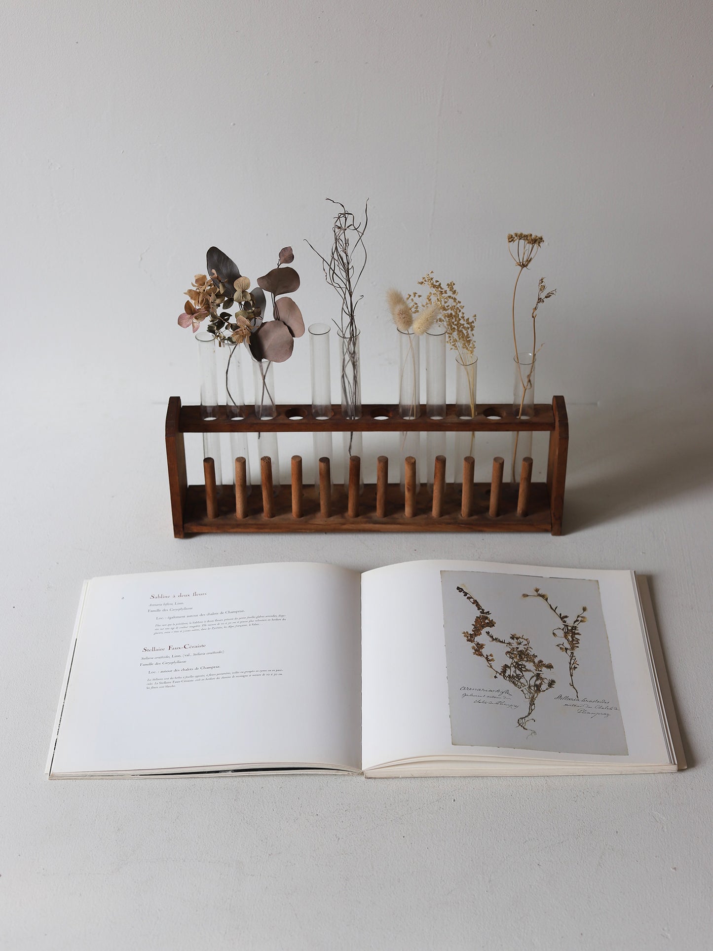 HERBIER DES ALPES