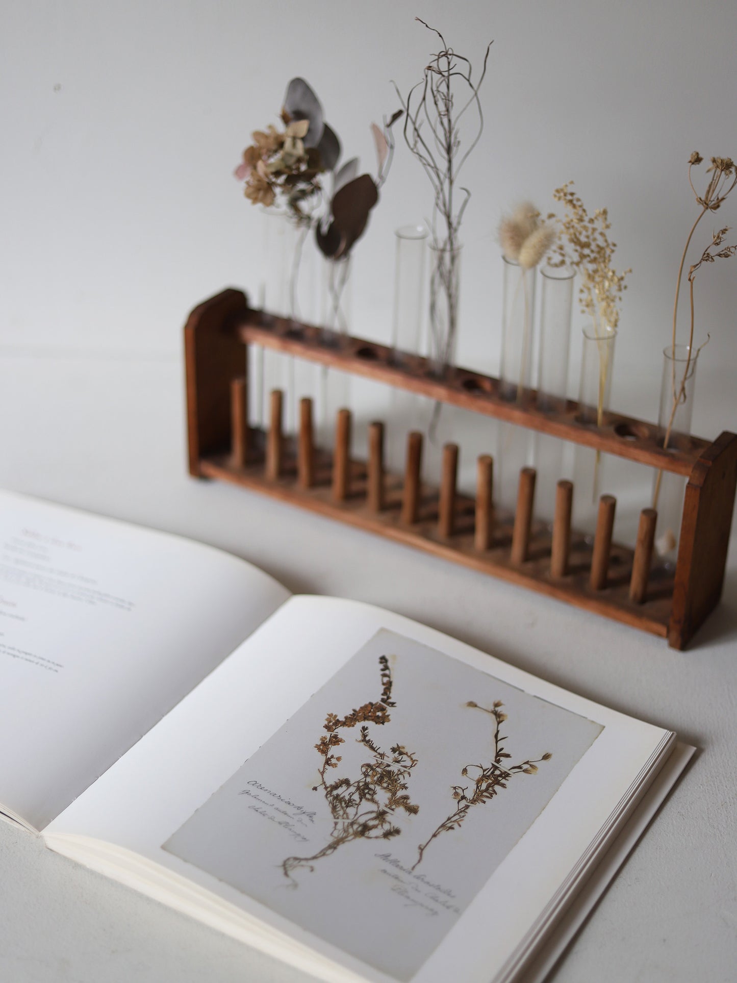 HERBIER DES ALPES