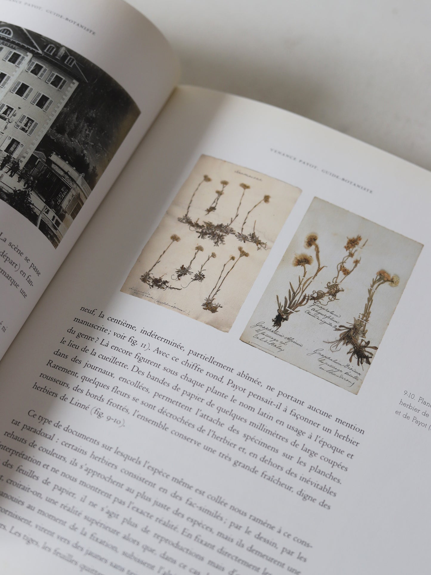 HERBIER DES ALPES
