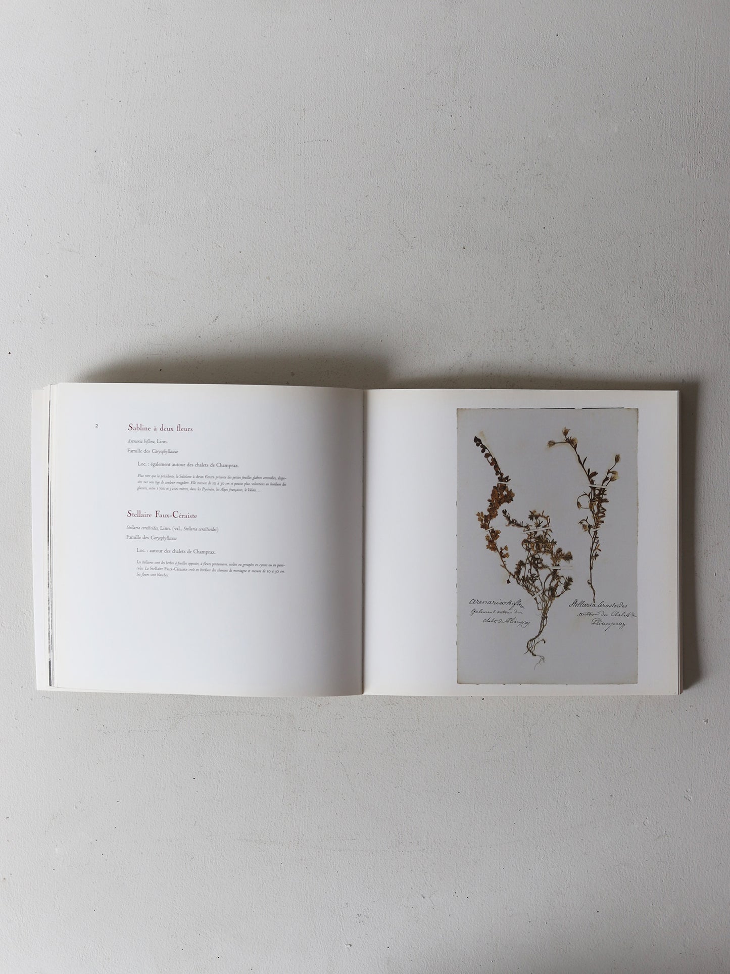 HERBIER DES ALPES